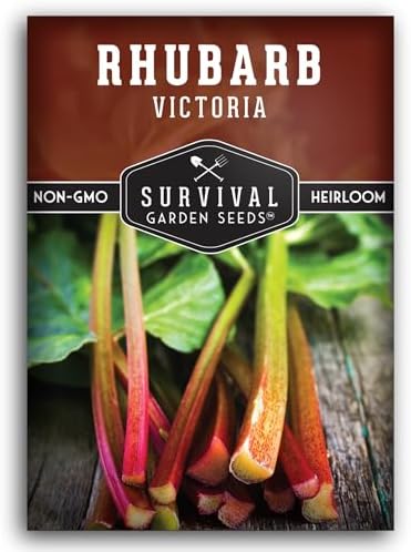 Victoria Rhubarb Seeds for Planting - 1 Pack by SurvivalGardenSeeds