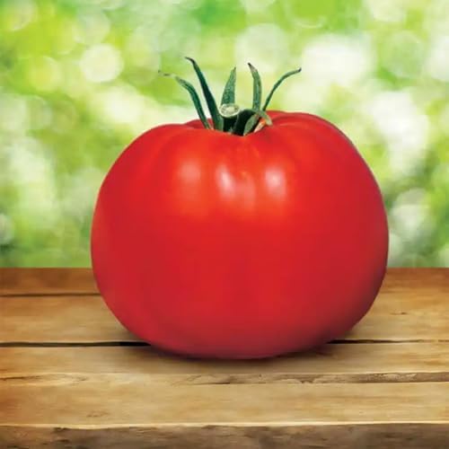Park Seed Variety of Tomato Seeds, Whopper CR Improved Hybrid, Pack of 30 by ParkSeed