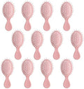 12 Pack Mini Hair Brush Bulk, Travel Hair Brush for All Hair Types by AESPAKO