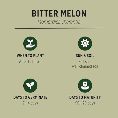 Banyan Botanicals Organic Bitter Melon Seeds (Momordica Charantia) – Easy-to-Plant Culinary Gourd with a Complex Bitter Flavor – 10 Count – Open Pollinated Non-GMO - Image 2