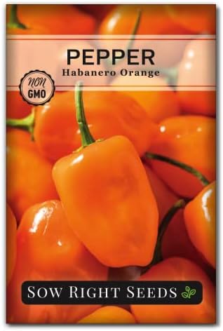 Sow Right Seeds - Habanero Orange Pepper Seed for Planting Chili Peppers by SowRightSeeds