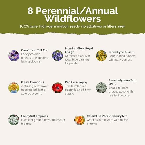 Eden Brothers Flowery Fields Forever Flower Mixed Seeds for Planting, 1 lb, 480,000+ Seeds with Cornflower, Candytuft | Attracts Pollinators, Plant in Spring or Fall, Zones 3, 4, 5, 6, 7, 8, 9, 10 - Image 3