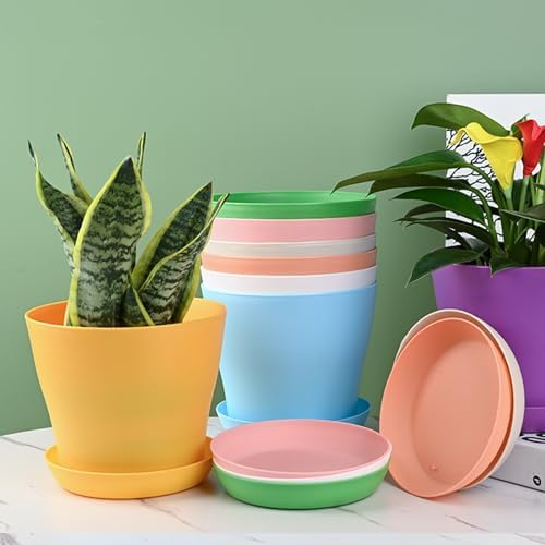 Tergy 20 Pack 7 Inch Plant Pots Bulk Small Plastic Planters Pots with Drainage Holes Flower Pot for Succulent, Cactus, Herb, African Violet - Image 3