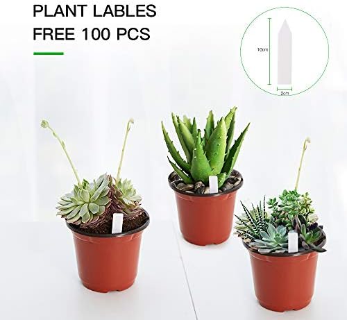 JERIA 100-Pack 6 Inch Plastic Nursery Pots Come with 100 Pcs Labels, Seedling Flower Plant Container and Seed Starting Pots - Image 3