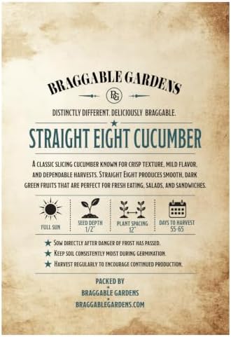 Straight Eight Cucumber Seeds, Classic Slicing Cucumber Seeds for Planting, Full Sun Vegetable Garden Seeds, Smooth Dark Green Cucumbers for Salads, Sandwiches and Fresh Eating - Image 3