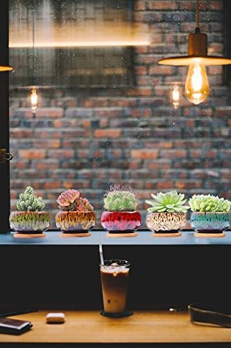 Cute Ceramic Succulent Garden Pots, Planter with Drainage and Attached Saucer, Set of 5 -Plants Not Included (Round) - Image 4