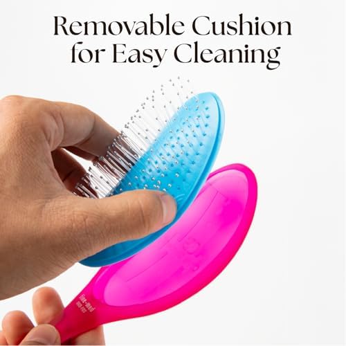 Olivia Garden Aurora Detangler Brush for Wet and Dry Fine to Medium Hair - Detangling Brush for Women, Men, Kids - Image 5