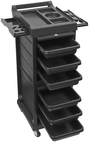 Lorvain Salon Beauty Rolling Trolley Cart with Wheels and 6 Drawers, Black by Lorvain