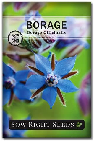 Sow Right Seeds - Borage Seed for Planting Medicinal Culinary Herb Garden by SowRightSeeds