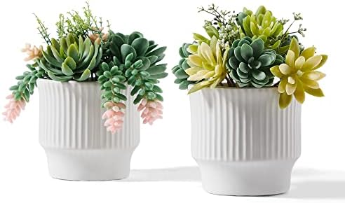 Artificial Succulent Plants, Faux Succulents Fake Plants Set of 2 by Astridiadecorateyourlife