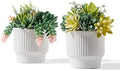 Artificial Succulent Plants, Faux Succulents Fake Plants Set of 2 by Astridiadecorateyourlife