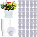 Tergy 50 Pack 4 Inch Plant Pots Bulk Small Plastic Planters Pots with Drainage Holes Flower Pot for Succulent, Cactus, Herb, African Violet (50pcs-White, 4Inches) by Tergy