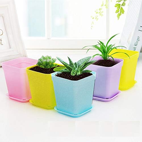 24 Pack 3inch Multi Color Square Plastic Plant Pots,Seedling Nursery Transplanting Planter Container Indoor Outdoor for Your Room,Garden Office and Balcony Decor - Image 4