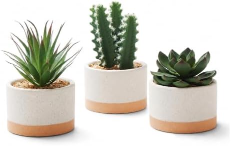 Artificial Succulent Cactus Plant Set Ceramic Flower Pot Set of 3 for Home, Office, Desk, Bedroom, Living Room Decoration by Unknown