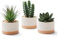 Artificial Succulent Cactus Plant Set Ceramic Flower Pot Set of 3 for Home, Office, Desk, Bedroom, Living Room Decoration by Unknown