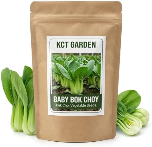 2500 Baby Bok Choy Seeds Pak Choi Variety for Hydroponic Systems and Garden Beds Compact Cool Season Vegetable for Home Growing by Unknown