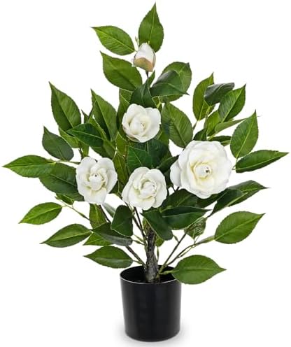 Small Artificial Camellia Roses Potted - 17.7" White Faux Camellia Rose Mini Tree Fake Flower Plant Artificial Plants & Flowers Indoor with Planter for Home Office Living Room Porch Arrangement Decor by Oairse