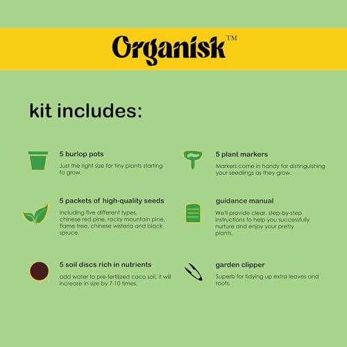Bonsai Starter Kit - 5 Unique Tree Types, Special DIY Garden Hobby Kits - Great for Plant Lovers, for Kids, Men, Women, and Bonsai Enthusiasts - Image 4