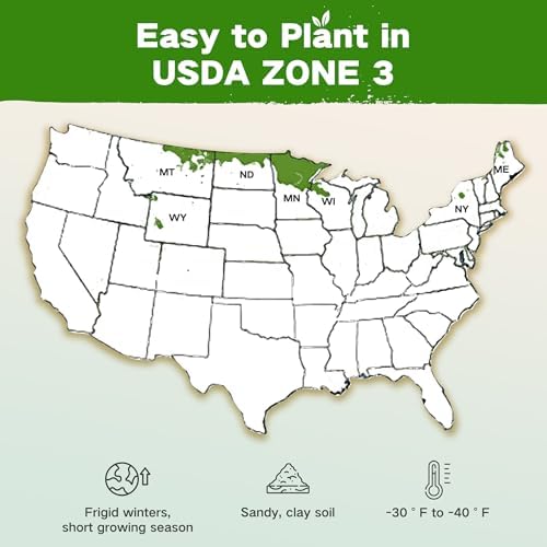 USDA Zone 3 Seed Bank, Gardening Gifts for Women Men, 32 Type Non-GMO Seeds - Image 2