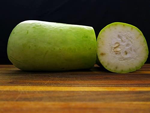 Gaea's Blessing Seeds - Bottle Gourd Seeds - Opo Squash - Non-GMO Seeds with Easy to Follow Planting Instructions - NAM Tao Yao Heirloom 94% Germination Rate - Image 2