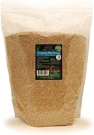 Creeping Red Fescue Seed by Eretz (3lb) - Choose Size! Willamette Valley Oregon Grown, No Fillers, No Weed or Other Crop Seeds, Premium Shade Grass Seed. by Eretz