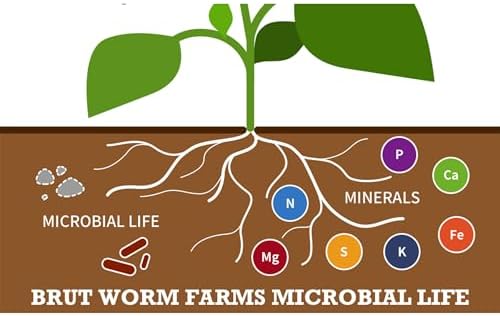 BRUT WORM FARMS Cow Compost - Organic Compost - 1 cu ft - Cow Manure - Image 4
