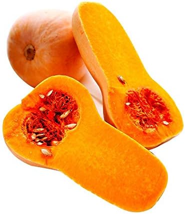 Park Seed Early Butternut Hybrid Winter Squash Seeds – Compact Vine Growth, Sweet Nutty Flavor, Fine-Textured Tan Flesh, AAS Winner 1979, Space-Saving and Long-Storing Variety, Pack of 20 by ParkSeed