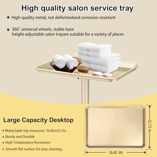 Salon Tray, Champagne Gold, Adjustable Height, Easy to Install - Image 2