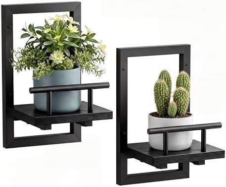 Sbosbo Floating Shelves for Wall Plant Shelf Indoor Wall Mounted Shelves by SBOSBO