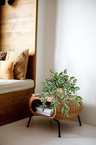 Briful Faux Plants Indoor 17.7in Fake Watermelon Peperomia Plant in Gold Pot with Realistic Silk Green Leaves Artificial Potted Plant for Home Office Table Bookshelf Desk Room Decor - Image 6