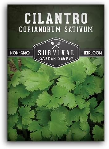 Cilantro Seeds for Planting - Heirloom Coriander Seed (1 Pack) by SurvivalGardenSeeds
