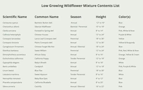 Seed Needs Wildflower Seeds Low Growing 1 Ounce Heirloom Bulk Pack - Image 7