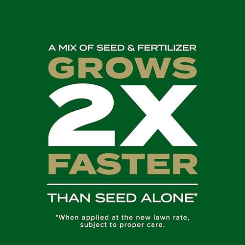 Scotts Turf Builder Rapid Grass Southern Gold Blend, 16 lbs. - Image 3