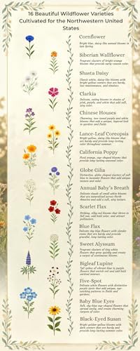 Northern California Wildflower Seed Mix, 1/2 lb Covers 1,500 sq ft, Multi-Color Perennial and Annual Non-GMO Blooms, Spring and Fall Planting in Pacific Northwestern United States (1/2 Pound) - Image 4
