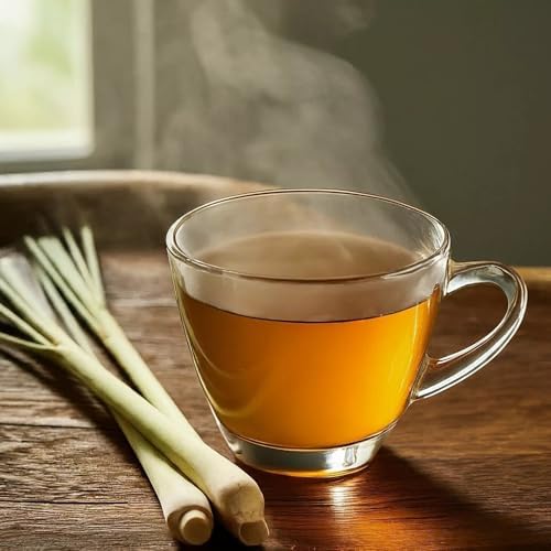 West Indian Lemongrass - 4 x 2 inch Cups - Image 5