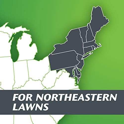 Scotts Turf Builder Grass Seed Northeast Mix, Crafted to Withstand Harsh Winters and Hot Summers, 3 lbs. - Image 5