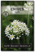 Sow Right Seeds - Garlic Chives Seeds for Planting Perennial Herb Garden by SowRightSeeds
