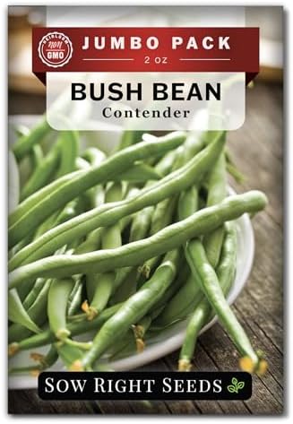 Sow Right Seeds - 110 Contender Bush Bean Seed for Planting Bulk Jumbo Pack by SowRightSeeds