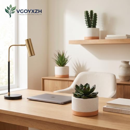 Artificial Succulent Cactus Plant Set Ceramic Flower Pot Set of 3 for Home, Office, Desk, Bedroom, Living Room Decoration - Image 6