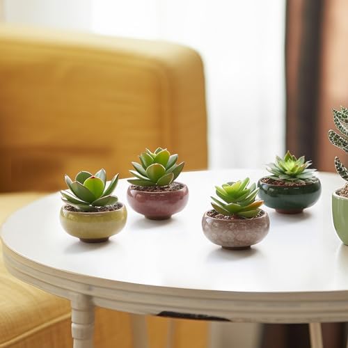 T4U Mini Succulent Pots, Small Shallow Ceramic Pots, Retro Gift Set of 12 - Image 4
