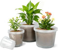 4/6/8/10 Inch Clear Nursery Pots, 16Pack Plastic Plant Pots with Drainage by Unknown