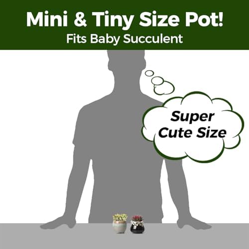 T4U Mini Ceramic Succulent Pots, Small Gift Planters, Retro Decor Set of 12 - Image 3