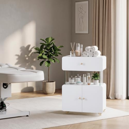 BarberPub Storage Rolling Salon Trolley with Glass Shelf, Utility cart 2098 - Image 2