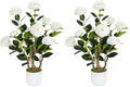 2 Pack Artificial Camellia Tree with White Pot, 24" Faux Potted Plants for Indoor Outdoor Decor, Tall Silk Greenery Plant for Home Office Living Room Balcony, White by Jcezvnt