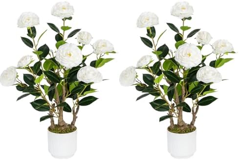 2 Pack Artificial Camellia Tree with White Pot, 24" Faux Potted Plants for Indoor Outdoor Decor, Tall Silk Greenery Plant for Home Office Living Room Balcony, White by Jcezvnt