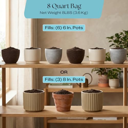 Rosy Soil Houseplant Potting Soil, Organic Indoor Potting Mix, 8 Quarts - Image 6
