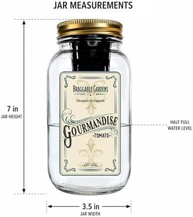 Gourmandise Yellow Cherry Tomato Indoor Garden Kit – Mason Jar Hydroponic Tomato Grow Kit – Windowsill Countertop Tomato Planter – Grow Tomatoes Indoors - Image 4