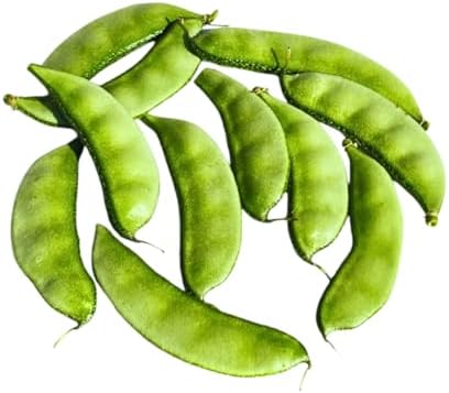 HYV Hyacinth Bean Seeds – Ipsa-2 Variety – Flat Green Pods – Country Bean | Lablab Purpureus Bangladeshi Vegetable Seeds | 0.35 OZ (30+ Seeds) by Unknown