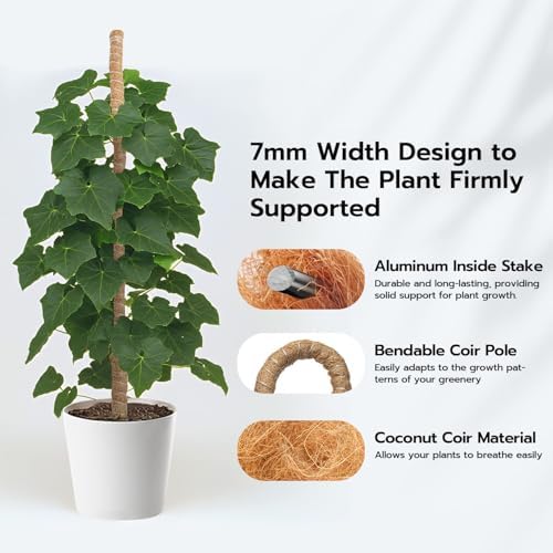 Mcbazel Bendable Moss Pole for Plants 47 Inch, Monstera Plant Support Stake with 7mm Aluminum Core, Coconut Coir Climbing Pole for Monstera Pothos Philodendron, Complete Kit with Ties & Rope - Image 2