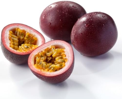 Purple Passion Fruit Live Plant, Well-Rooted Fruit Plant, 5-7 Inch Tall - Image 6